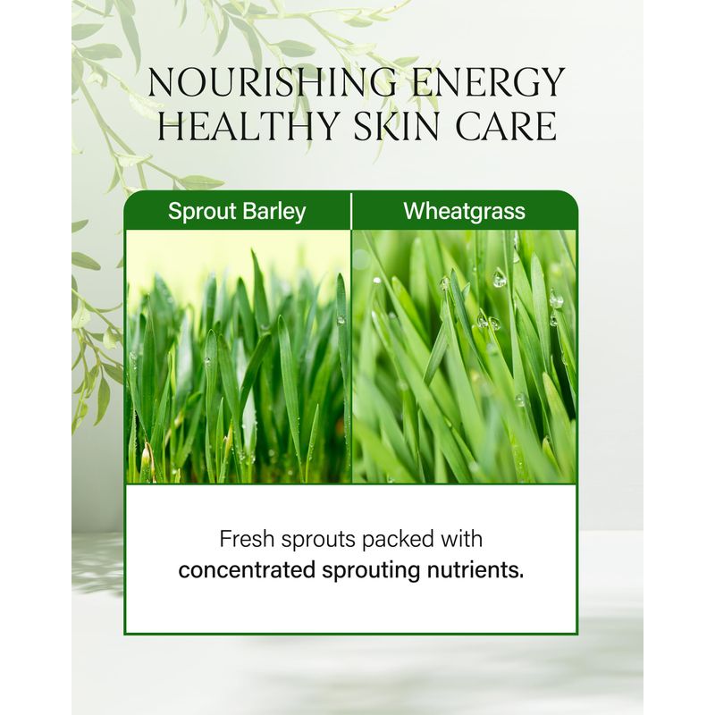 ABOUT ME Sprout Mild Cleansing Oil, 195ml, Korean Beauty